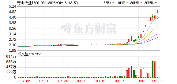 宏盈国际 青山纸业：股票交易异常波动公告