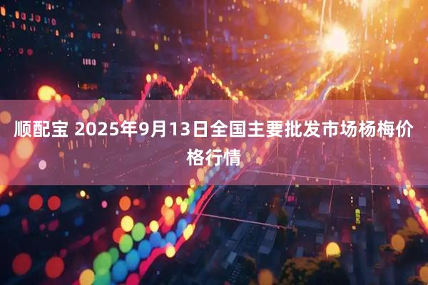 顺配宝 2025年9月13日全国主要批发市场杨梅价格行情