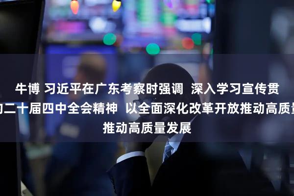 牛博 习近平在广东考察时强调  深入学习宣传贯彻党的二十届四中全会精神  以全面深化改革开放推动高质量发展