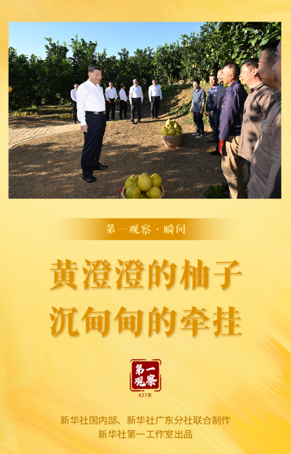 安泰证券 第一观察·瞬间｜黄澄澄的柚子，沉甸甸的牵挂